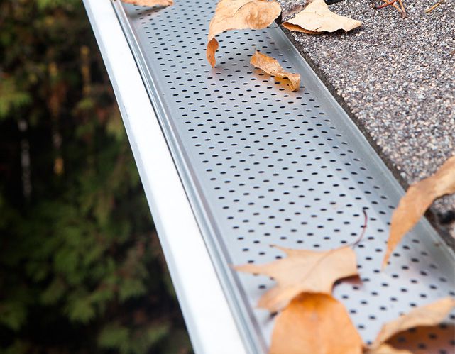 A gutter guard installed on a house roof prevents leaves from clogging the eavestrough. Several brown leaves rest atop the perforated metal guard, with green foliage in the background.